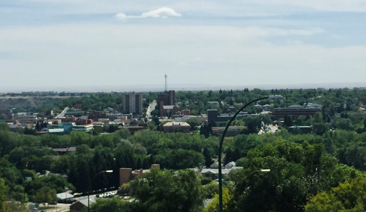 view 1